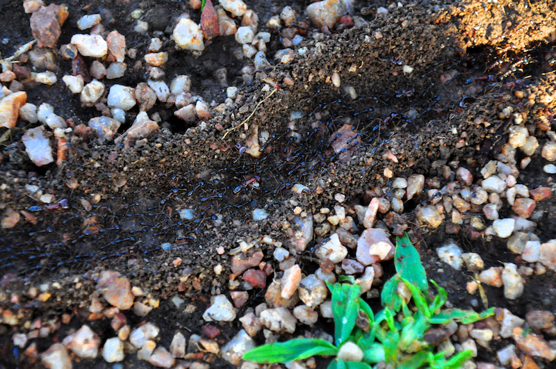 Melanie Heinrich Travel Images Africa